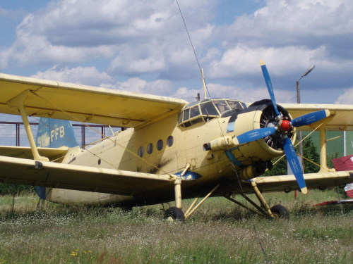 Warsztaty w Puszczykowie, lato 2009, zdjęcia autorstwa Małgosi i Ewy