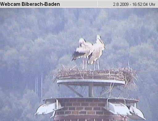 Biberach-Baden
