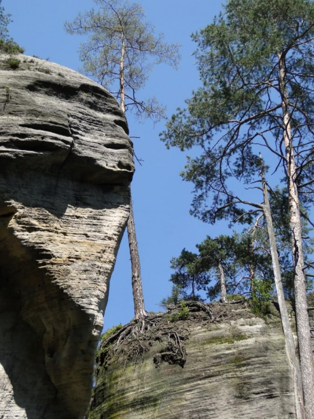 Miasto skalne w Czechach