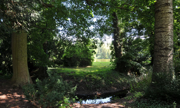 Park przy zamku w Kórniku - Arboretum