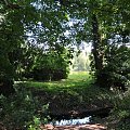 Park przy zamku w Kórniku - Arboretum