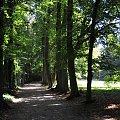 Park przy zamku w Kórniku - Arboretum