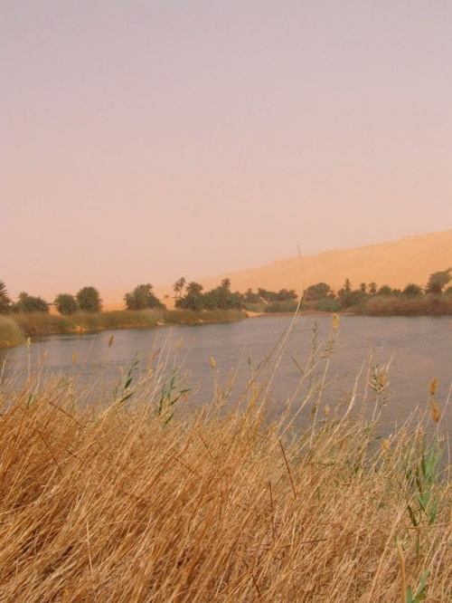 Jazioro Um-Alma tak jak i Gabaroun jest to ciepłe jezioro o bardzo dużym zasoleniu.
