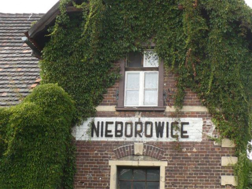 Nieborowice