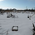 26.03.2009