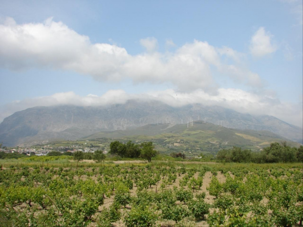 równina Messaria Kreta, zabytki Gortyna - Mires - Agia Triada - Festos - Ag.Joanni, Matala #Matala #Kreta