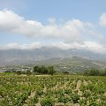 równina Messaria Kreta, zabytki Gortyna - Mires - Agia Triada - Festos - Ag.Joanni, Matala #Matala #Kreta