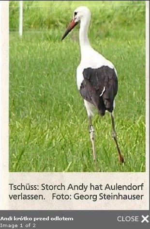 Aulendorf