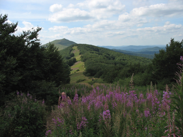 Bieszczady #góry #Bieszczady #PołoninaWetlińska