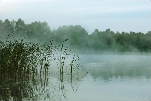 zamglony świt