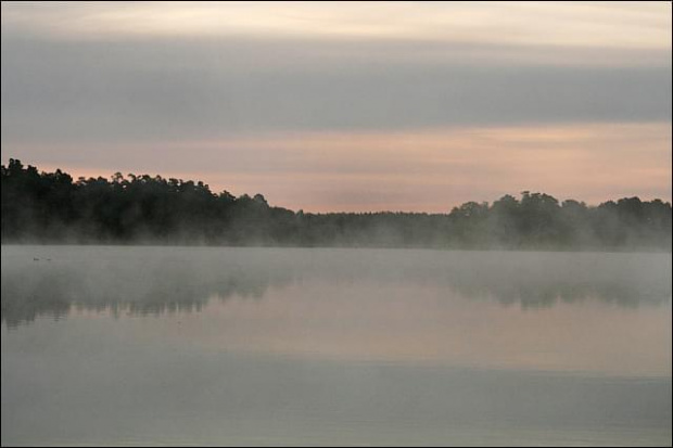 zamglony świt