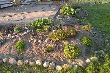 07.2009 #ogrody #rosliny