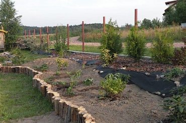 08.2009 #ogrody #rosliny