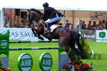 dzień drugi, konkurs skoków #WKKW #PucharŚwiata #konie #strzegom #zawody