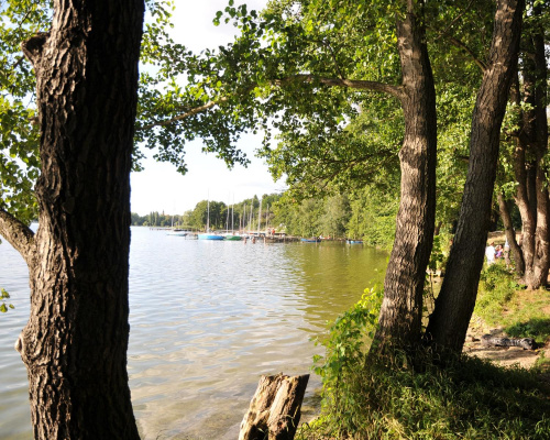 Jezioro w czasie kanikuły