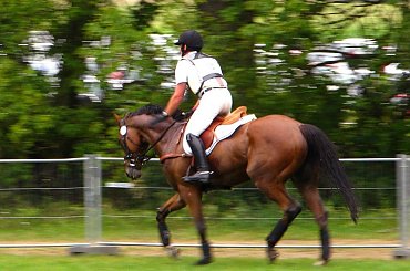 po biegu #WKKW #PucharŚwiata #konie #strzegom #zawody