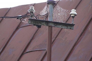 Pajęczynka na zasilaniu #pajęczyna #prąd #dach #balacha #słup