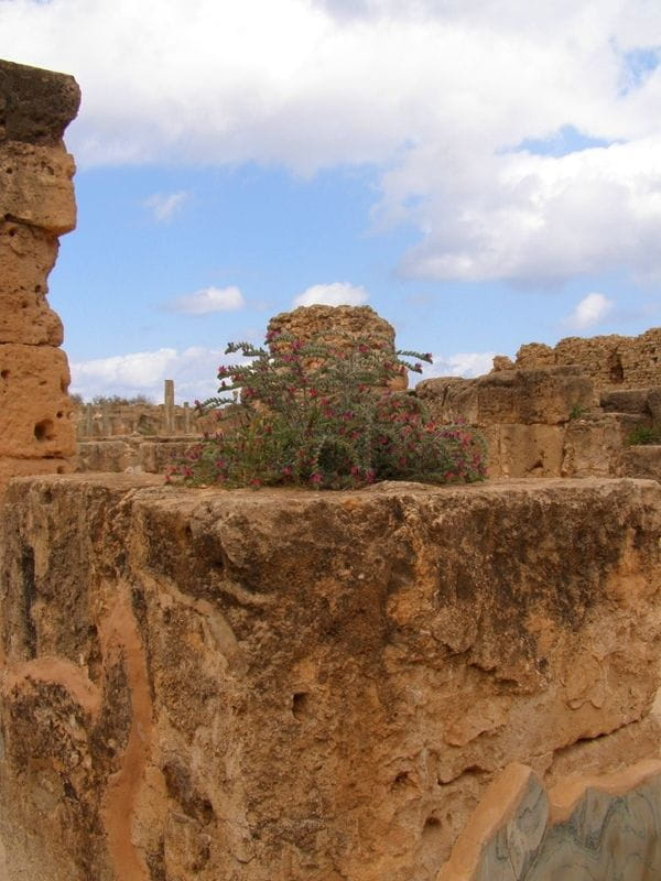 Leptis Magna (Lubda)