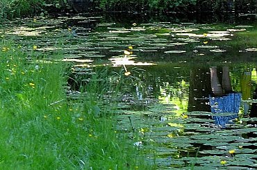 też wakacyjne ... :)) #NadWodą #Pławniowice #staw #WParku