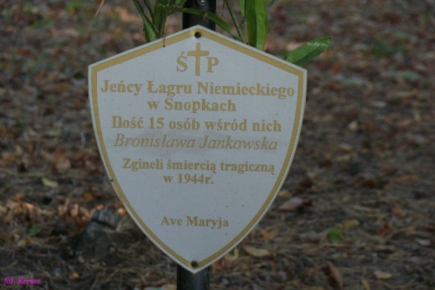 Snopki - cmentarz wiejski #Snopki