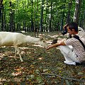 Rafał w akcji :) korupcja to podstawa