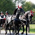 Dożynki gminne Wodzisław Śląski - Jedłownik .
Więcej fotek na www.jedlownik.pl :) zapraszam .