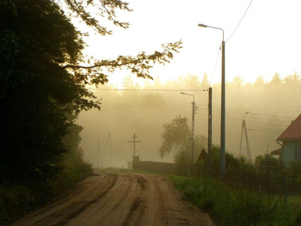 W cieniu puszczy - Cieliczanka