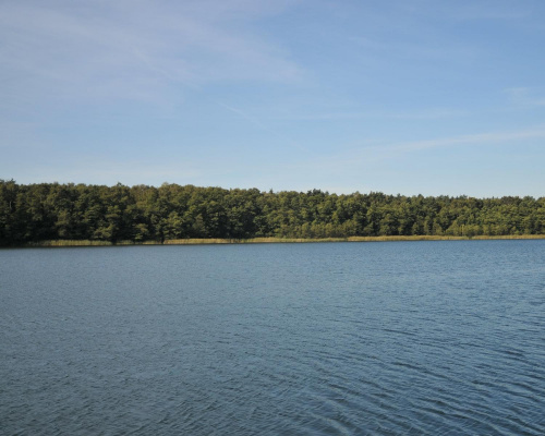 Jezioro Strzeszyńskie jeszcze w letnim słońcu