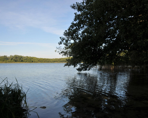 Jezioro Strzeszyńskie jeszcze w letnim słońcu