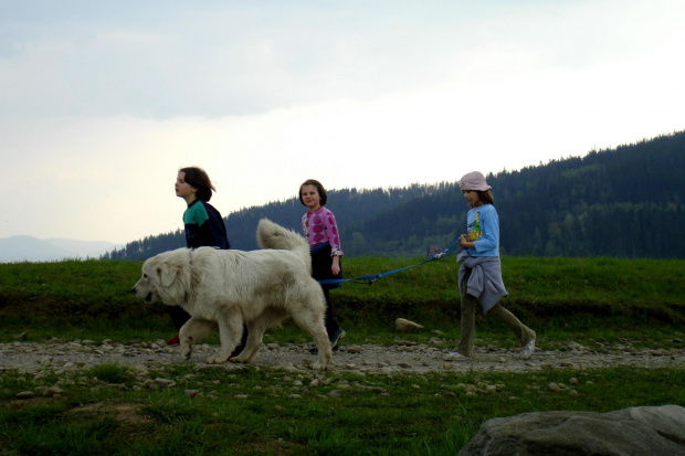 #Matyska #góry #religia #krzyż #pies #dzieci