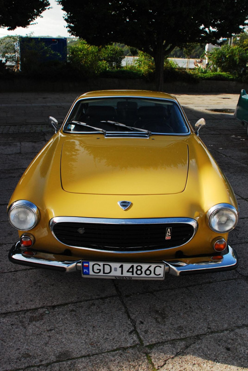 P1800 E