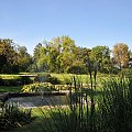 Spacerem po poznańskim ogrodzie botanicznym w ostatnie dni lata