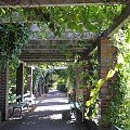 Pergola w półcieniu