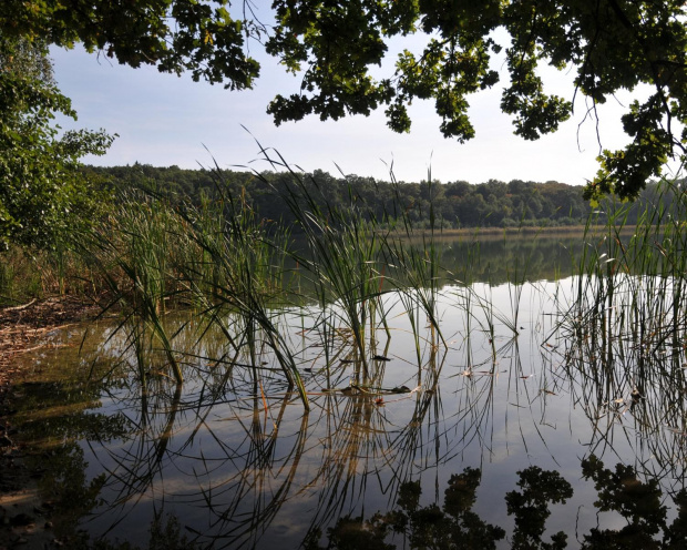 Jezioro Góreckie podczas niedzielnego wrześniowego spaceru