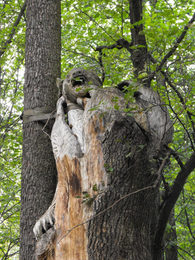 Małgosia Jabłońska z Białegostoku http://www.poranny.pl/apps/pbcs.dll/article?AID=/20090812/BIALYSTOK/679907689