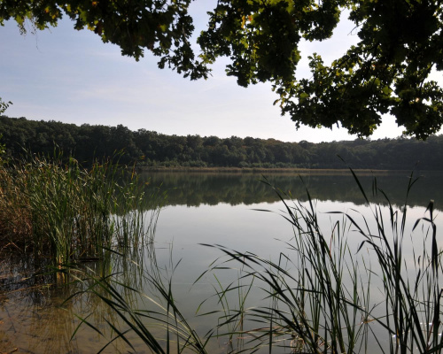 Jezioro Góreckie podczas niedzielnego wrześniowego spaceru