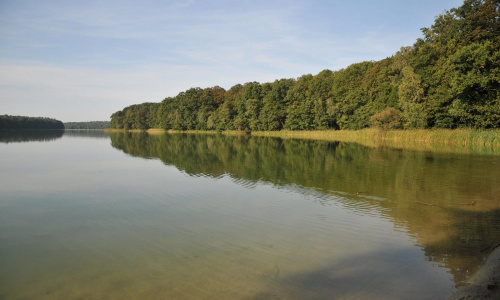 Jezioro Góreckie podczas niedzielnego wrześniowego spaceru