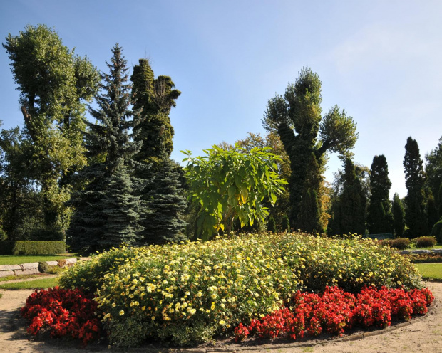 Spacerem po poznańskim ogrodzie botanicznym w ostatnie dni lata