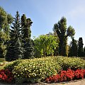 Spacerem po poznańskim ogrodzie botanicznym w ostatnie dni lata