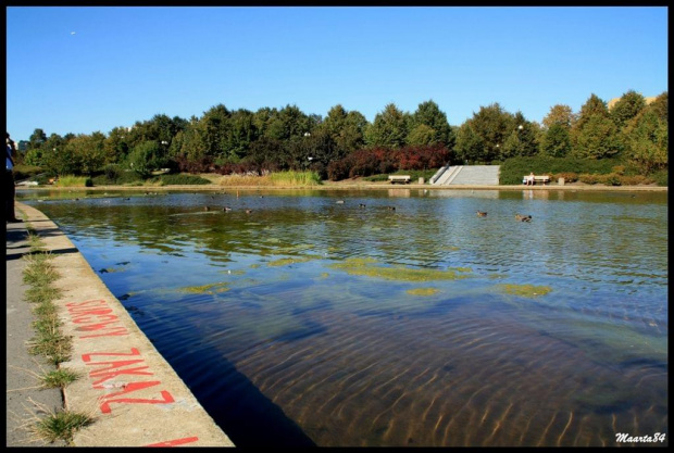 Po krótkiej przerwie - Park Bródnowski w Warszawie:)