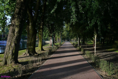 W parku nad rzeką Pisą #Pisa