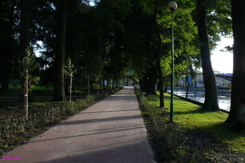 W parku nad rzeką Pisą #Pisa