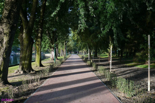 W parku nad rzeką Pisą #Pisa