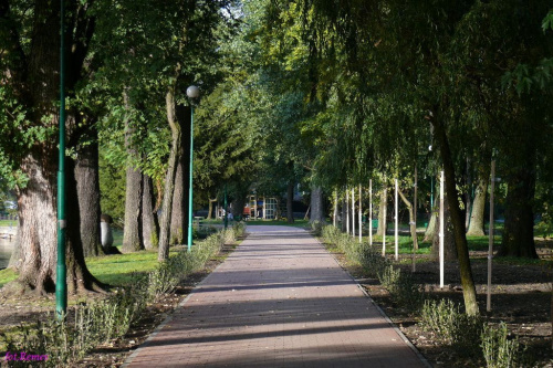 W parku nad rzeką Pisą #Pisa