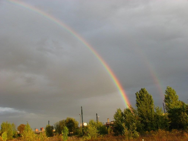 dzisiaj na torach czyli cuda na ziemi :)