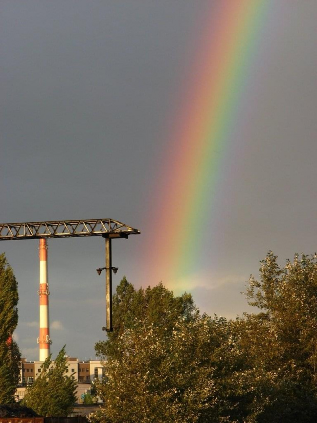 dzisiaj na torach czyli cuda na ziemi :)