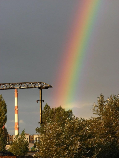 dzisiaj na torach czyli cuda na ziemi :)