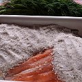 Gravlax czyli łosoś na surowo bejcowany #GravlaxKulinariaWandelt