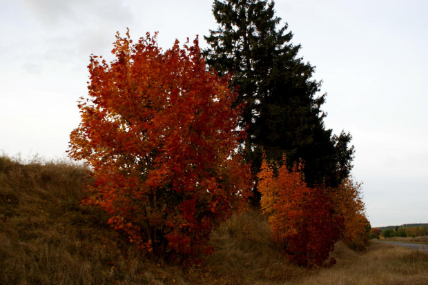 Mrągowo, Mazury jesienią #Mazury #Mrągowo #jesień #autumn #xnifar #rafinski