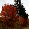 Mrągowo, Mazury jesienią #Mazury #Mrągowo #jesień #autumn #xnifar #rafinski